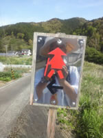 遍路の写真