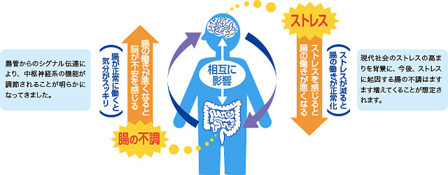 腸の不調とストレスの関係